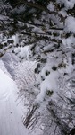DSC_0353.JPG